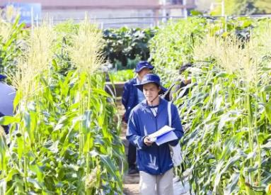 廣東有“種”！種業(yè)振興“五年見成效”創(chuàng)新實(shí)踐成績單來了