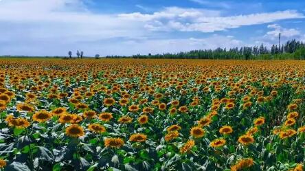 內(nèi)蒙古首個地理標志保護示范區(qū)建成