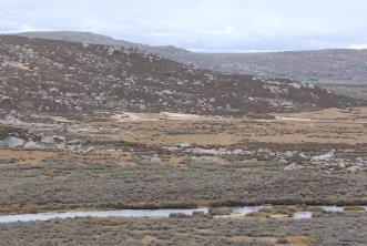 登至4300米！考古刷新青藏高原東部人類(lèi)遷徙紀(jì)錄