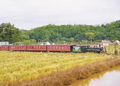 廣東：繪就文明新底色 賦能發(fā)展新畫卷