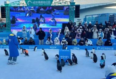 “冰雪+”叫響文旅IP！黑龍江深挖冰雪資源 催熱冬日經(jīng)濟