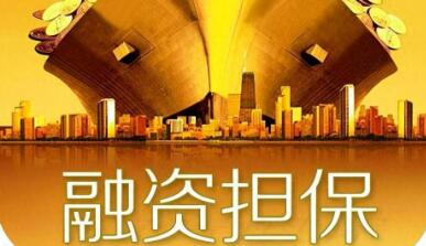 關(guān)于進一步發(fā)揮政府性融資擔(dān)保體系作用 加力支持就業(yè)創(chuàng)業(yè)的指導(dǎo)意見