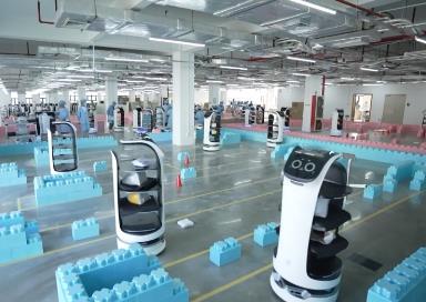 “智慧大腦”結(jié)合“靈活身體” 我國重點布局具身智能產(chǎn)業(yè)