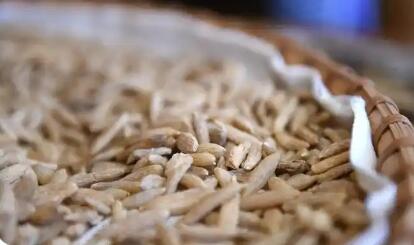 四川三臺縣：奏響麥冬產(chǎn)業(yè)“高值化”新樂章