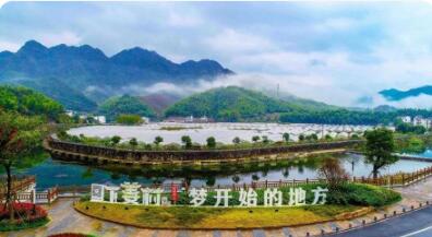 從“單打獨斗”向“抱團共富”轉(zhuǎn)變 浙江片區(qū)組團發(fā)展激活鄉(xiāng)村振興新動能