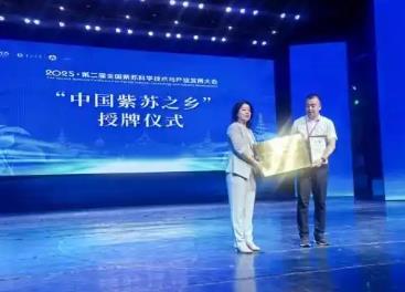 京蒙協作結碩果，鄂倫春自治旗獲批“中國紫蘇之鄉(xiāng)”