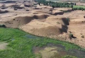 “十四五”我國林草種苗工作取得新進(jìn)展 “三北”工程完成建設(shè)任務(wù)超2億畝