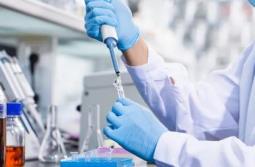 國家藥監(jiān)局：2025年我國藥品抽檢合格率99%以上