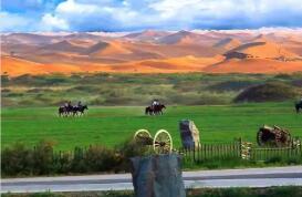 內蒙古發(fā)布新一批自治區(qū)級旅游品牌