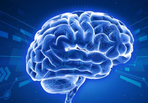 首個(gè)中國人群全生命周期腦圖表成功構(gòu)建