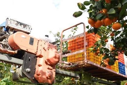 科技賦能“中國柑橘之鄉(xiāng)” 智慧種植助力鄉(xiāng)村振興