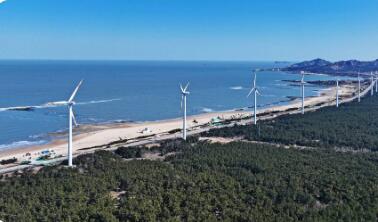 踏浪七千里 海韻譜華章——山東沿海城市“向海而興”高質(zhì)量發(fā)展觀察