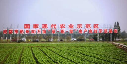 農(nóng)業(yè)農(nóng)村部會(huì)同財(cái)政部、國(guó)家發(fā)展改革委部署國(guó)家農(nóng)業(yè)現(xiàn)代化示范區(qū)創(chuàng)建工作