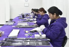 從小眾突圍到規(guī)范領(lǐng)跑 行業(yè)協(xié)會(huì)以“組合拳”引導(dǎo)電吹管產(chǎn)業(yè)高質(zhì)量發(fā)展