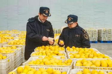 2025年四川外貿(mào)進(jìn)出口總值10318.1億元