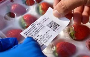 內(nèi)蒙古全面推行承諾達(dá)標(biāo)合格證制度—小小證件筑牢農(nóng)產(chǎn)品質(zhì)量安全防線