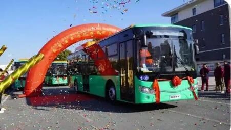 215臺(tái)安凱客車發(fā)往墨西哥 賦能當(dāng)?shù)亟煌òl(fā)展