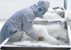 “中國羽絨之鄉(xiāng)”廣東吳川羽絨新年出口訂單爆滿