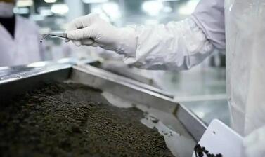 國(guó)產(chǎn)化 平民價(jià)  高端食材背后的中國(guó)產(chǎn)業(yè)突圍