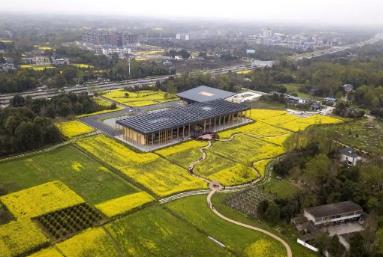 2025年四川農(nóng)村社會事業(yè)成效顯著 27個(gè)典型案例發(fā)布推廣