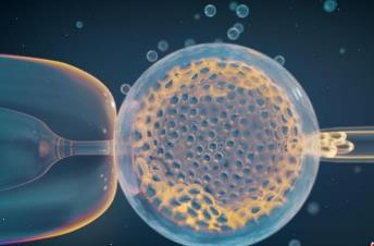 國(guó)際最新研究：常見遺傳變異引發(fā)風(fēng)險(xiǎn)或是導(dǎo)致流產(chǎn)主因