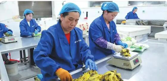 脫貧人口務(wù)工就業(yè)規(guī)模連續(xù)5年穩(wěn)定在3000萬(wàn)人以上