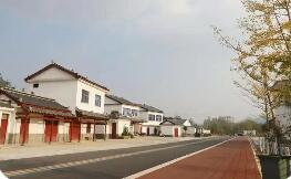 特色產(chǎn)業(yè)多點(diǎn)開(kāi)花，鄉(xiāng)村振興活力滿格