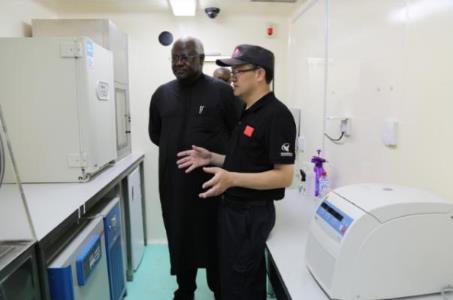 我科學(xué)家揭示埃博拉病毒關(guān)鍵突變 為開發(fā)新型廣譜抗病毒策略提供重要線索