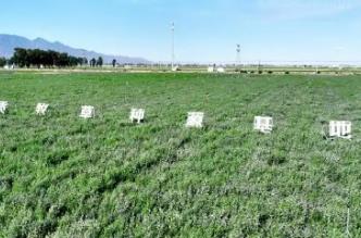 草業(yè)國家技術(shù)創(chuàng)新中心落地內(nèi)蒙古