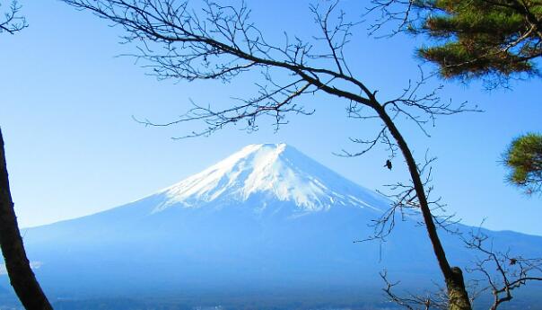 日本觀光立國戰(zhàn)略受挫