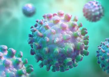 國(guó)家疾控局：我國(guó)尚未發(fā)現(xiàn)尼帕病毒病病例 疫情對(duì)我國(guó)產(chǎn)生的影響相對(duì)較小