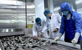 去年出口水產(chǎn)品近三十萬噸 “泉州味”水產(chǎn)品“出海”規(guī)模創(chuàng)新高