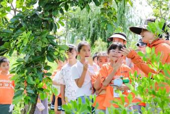 從“建設(shè)”到“示范”！“十四五”廣東自然教育答出優(yōu)秀卷