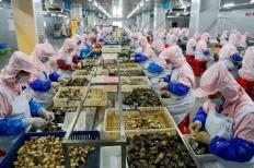 福建水產(chǎn)品出口連續(xù)13年居全國首位