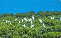 《中華人民共和國(guó)自然保護(hù)區(qū)條例》修訂通過(guò) 2026年3月15日起施行