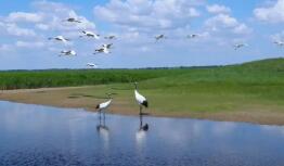 新修訂條例如何高質(zhì)量推進(jìn)自然保護(hù)區(qū)建設(shè)？