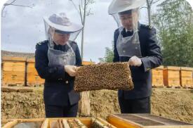 滴滴匠心蜜 揚(yáng)帆出海香——2025年湖北蜂蜜出口再創(chuàng)佳績