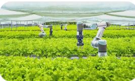 中央一號(hào)文件首提“人工智能+農(nóng)業(yè)”