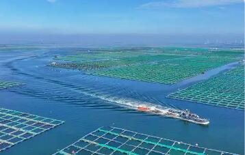 碧波萬頃可“耕田”——福建繪就“海上糧倉”新圖景