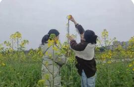 全國春耕春播氣象服務(wù)全面啟動