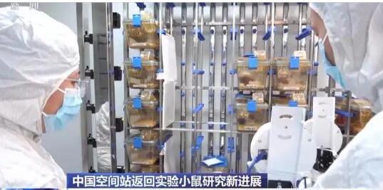 首次、首創(chuàng)、新突破！我國科技發(fā)展再添新成果