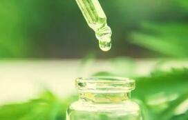 出口額連續(xù)三年下降 我國(guó)植物提取物行業(yè)亟須塑造差異化競(jìng)爭(zhēng)優(yōu)勢(shì)