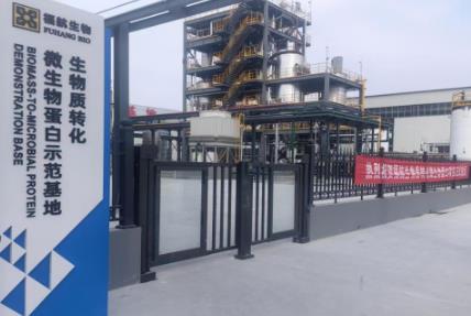 千噸級(jí)生物質(zhì)轉(zhuǎn)化微生物蛋白項(xiàng)目投運(yùn)