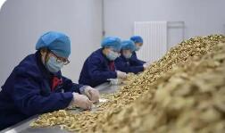 以技破題 甘肅激活民生就業(yè)一池春水