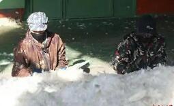 吉林省長春市農安縣：以鵝致富 以絨興業(yè)