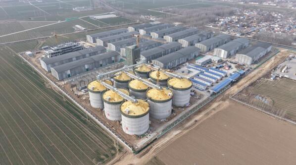 山東省加快推動糧食產(chǎn)業(yè)轉(zhuǎn)型升級