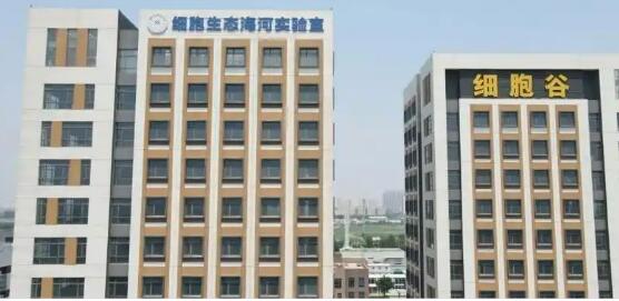 北方首個省級區(qū)域細(xì)胞制備中心落戶天津