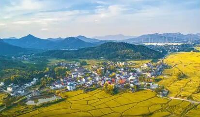 安徽：金融“活水”為鄉(xiāng)村振興“加滿油”