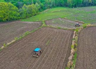 河南：春風(fēng)入野農(nóng)事忙