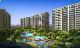 上海調(diào)降商業(yè)用房首付比例 其他城市料跟進